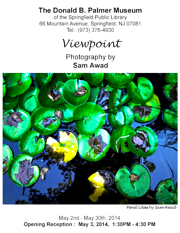 Viewpoint Poster